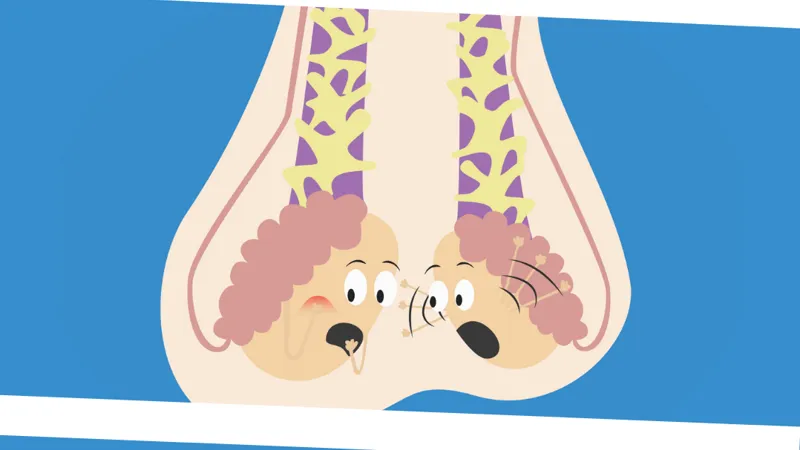 Where Can Testicular Cancer Spread?