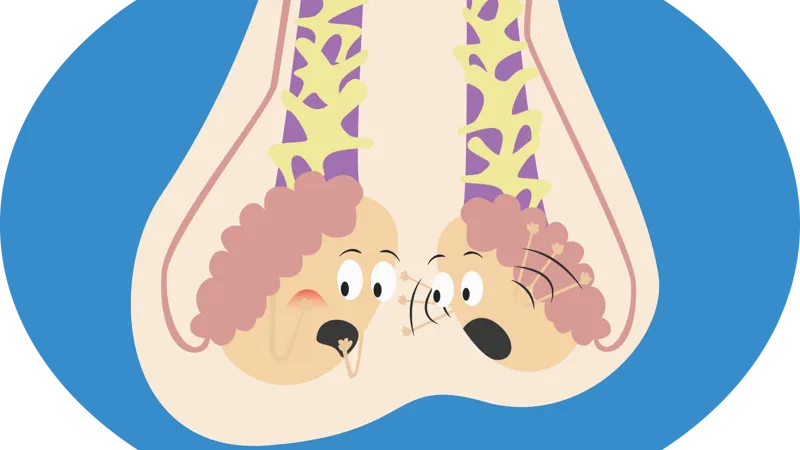 Signs and Symptoms of Testicular Cancer
